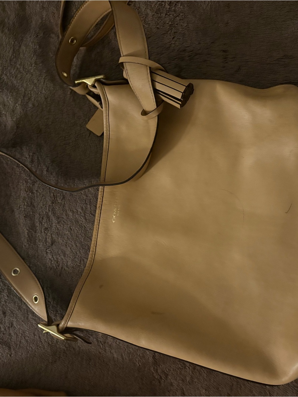 Coach Leather Shoulder Hobo Bag in Tan